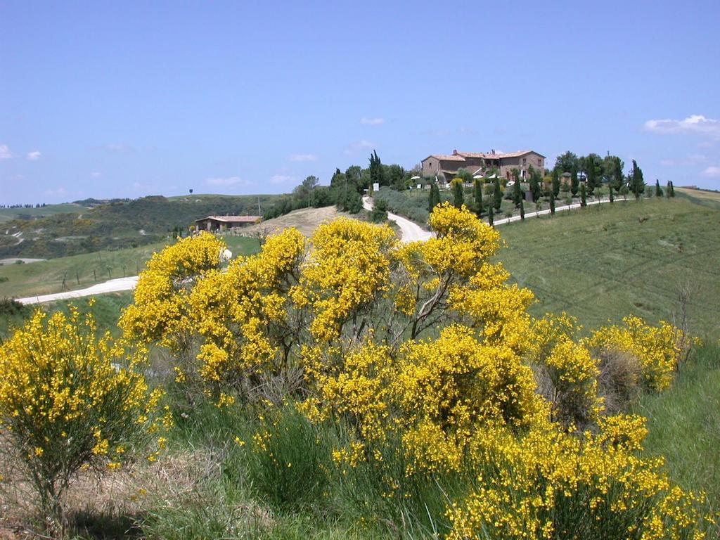 Palazzo Conti A Country house
